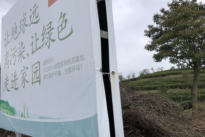 綠雪芽莊園·環保遠離污染綠色家園.jpg 綠雪芽莊園·環保遠離污染綠色家園.jpg