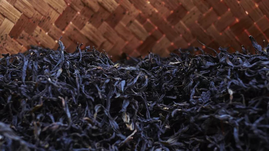 潮州單叢-四百嶺-一止茶 潮州單叢-四百嶺-一止茶