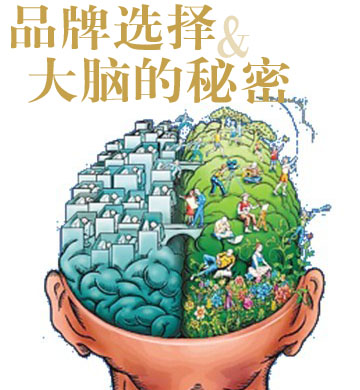 品牌選擇與大腦的秘密【善擇·品牌凈土】